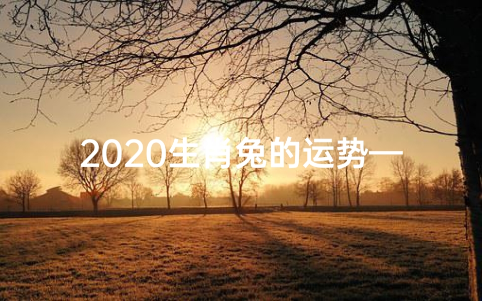 2020生肖兔的运势—2020兔年运势揭秘:好运连连,福星高照