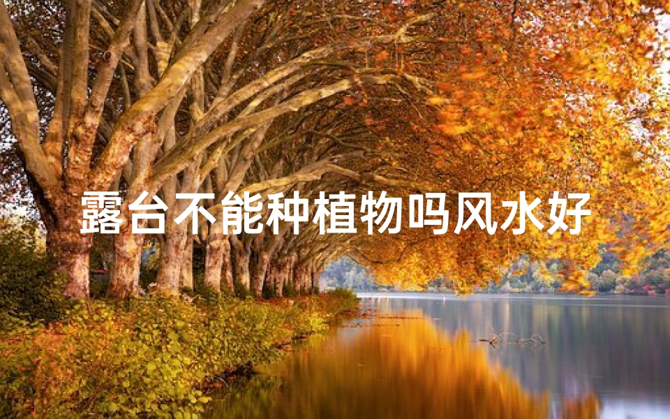 露台不能种植物吗风水好吗;露台上能种树吗