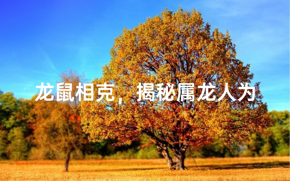 龙鼠相克，揭秘属龙人为何讨厌属鼠人