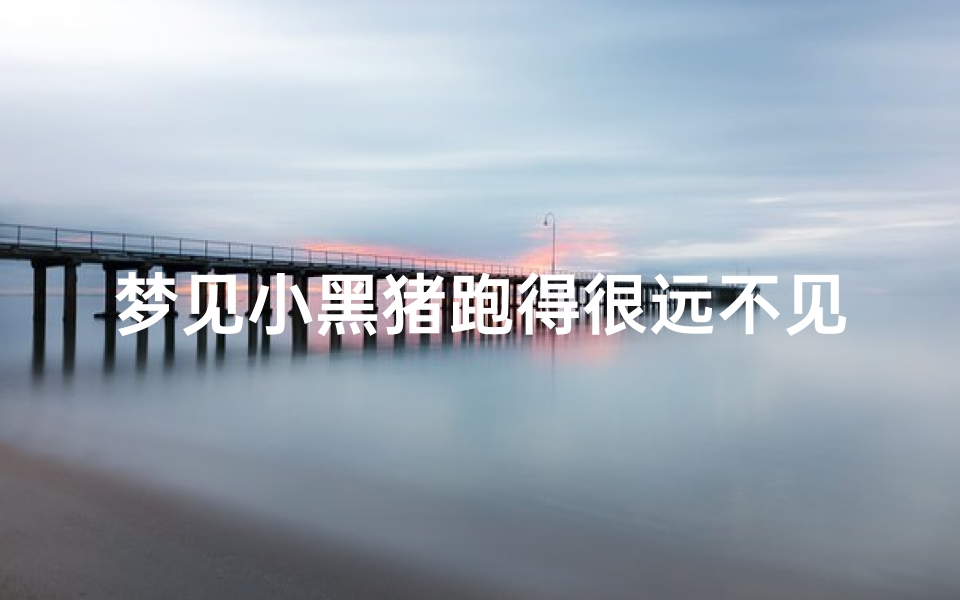 梦见小黑猪跑得很远不见了、梦见小黑猪跑得很远不见了怎么回事