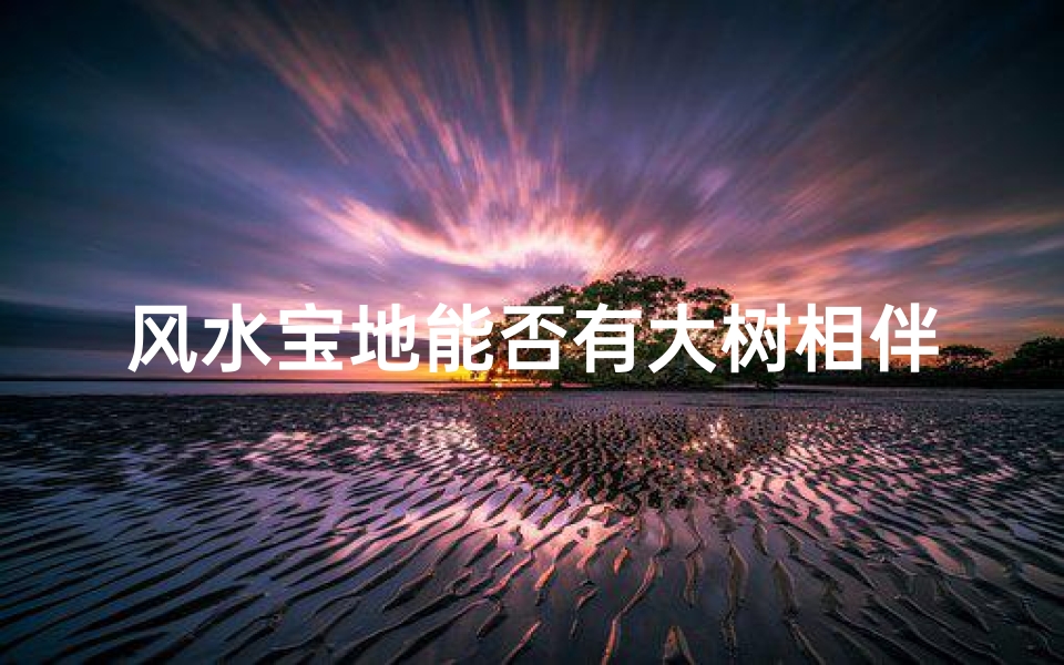 风水宝地能否有大树相伴?