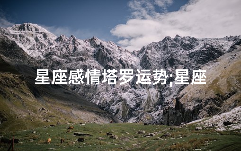 星座感情塔罗运势;星座感情占卜