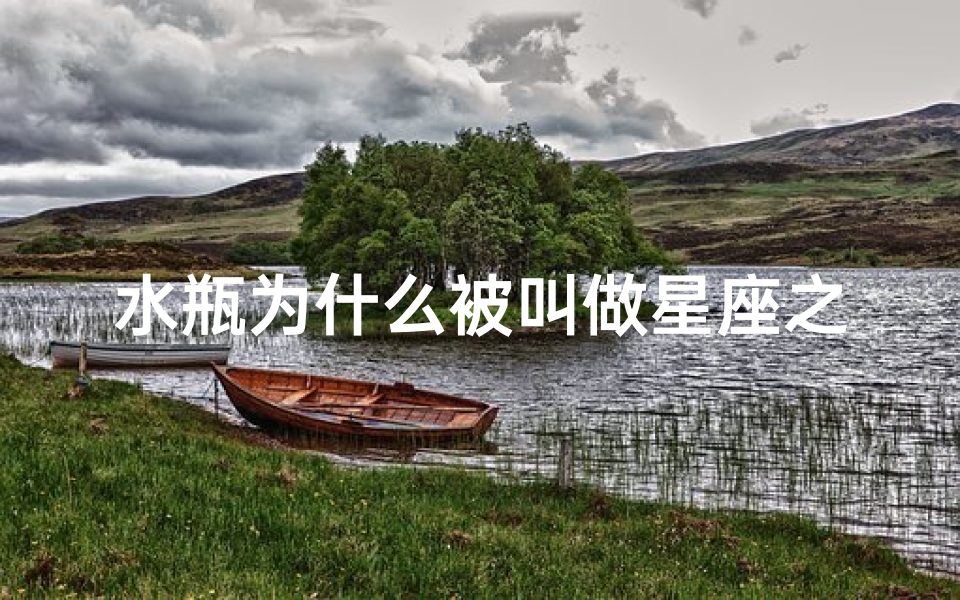 水瓶为什么被叫做星座之王(为什么水瓶座是十二星座之首)