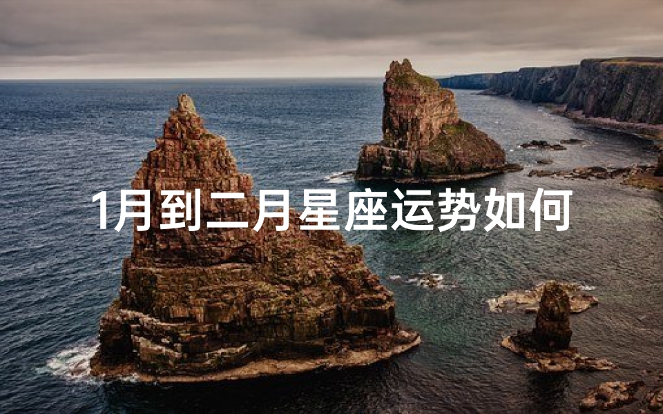 1月到二月星座运势如何