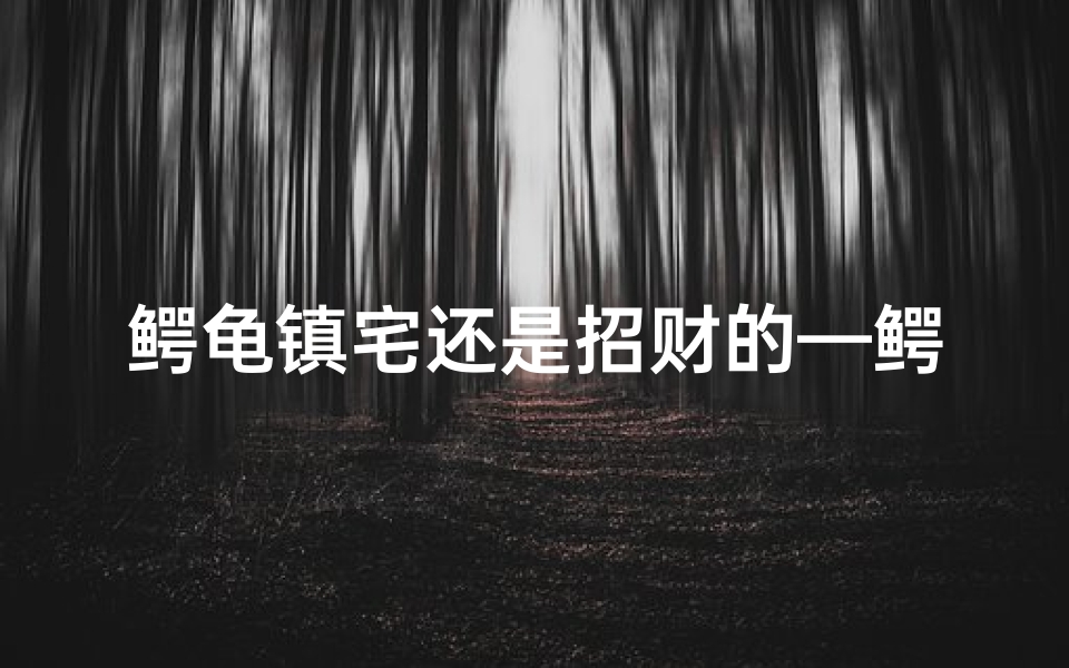 鳄龟镇宅还是招财的—鳄龟风水功效揭秘:家居摆放的神秘力量