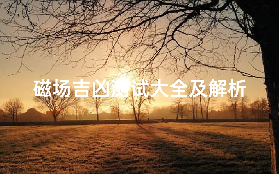 磁场吉凶测试大全及解析(易经数字磁场与吉凶论断)