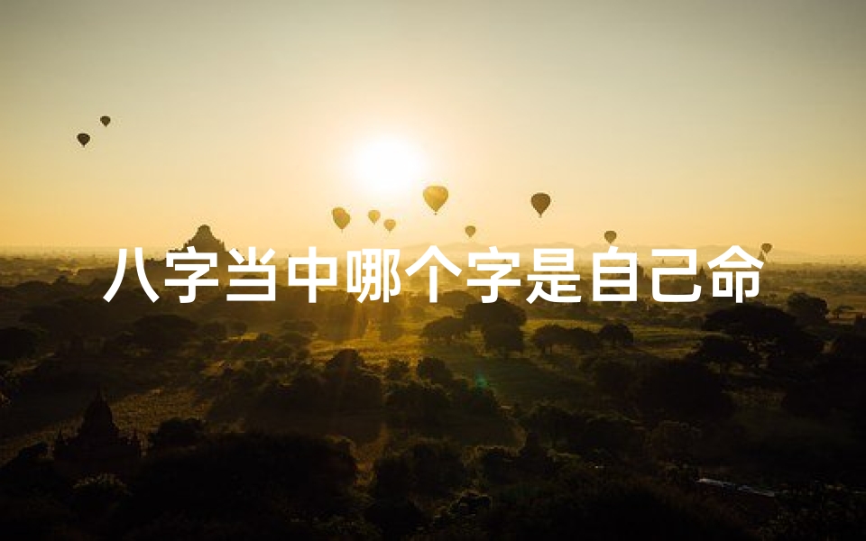 八字当中哪个字是自己命,八字命是哪八字