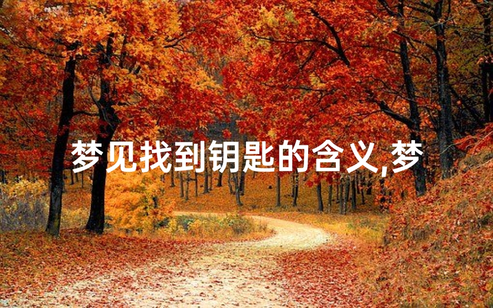 梦见找到钥匙的含义,梦见自己找到钥匙是什么意思