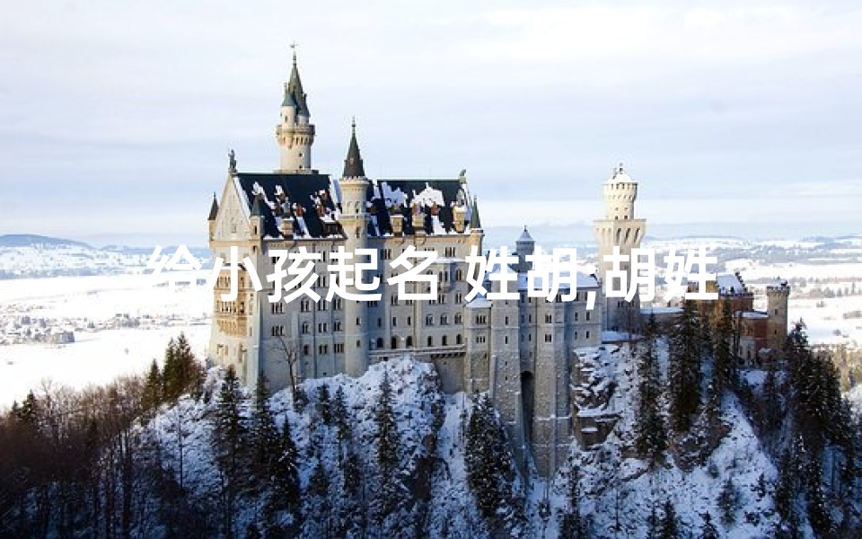给小孩起名 姓胡;胡姓宝宝,取个响亮好听的乳名