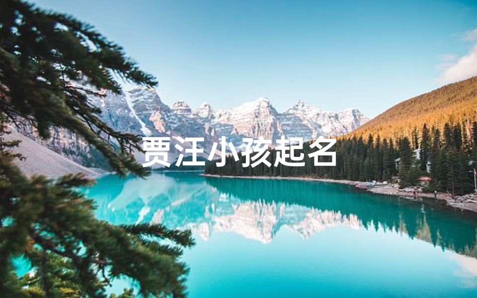 贾汪小孩起名