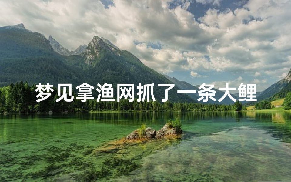 梦见拿渔网抓了一条大鲤鱼;梦见用网抓到一条大鱼