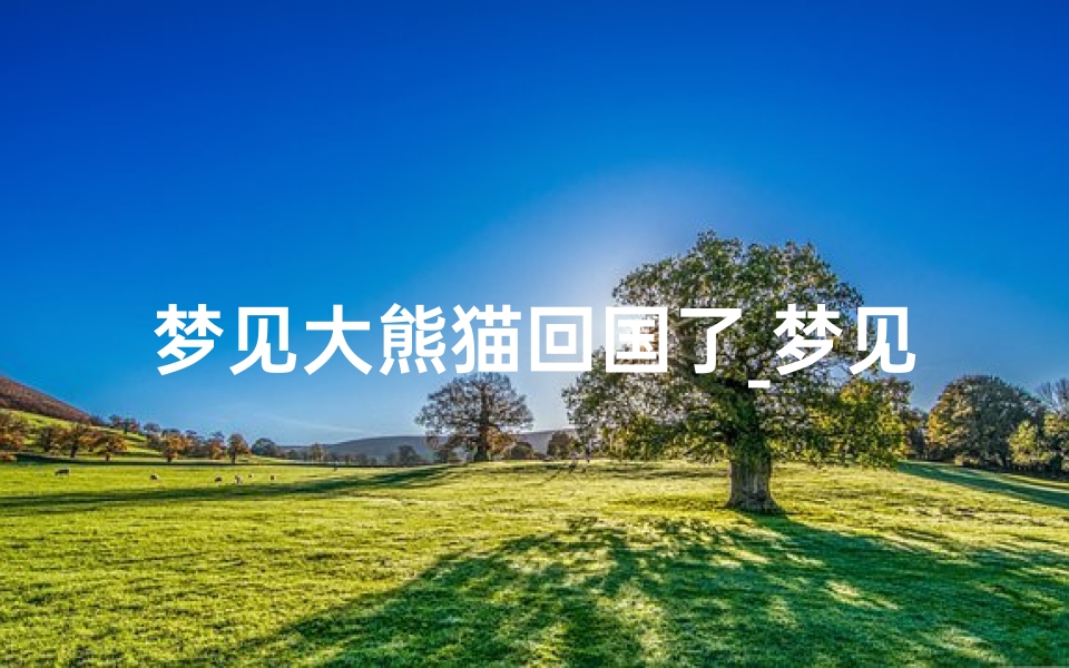 梦见大熊猫回国了_梦见大熊猫回国了什么意思