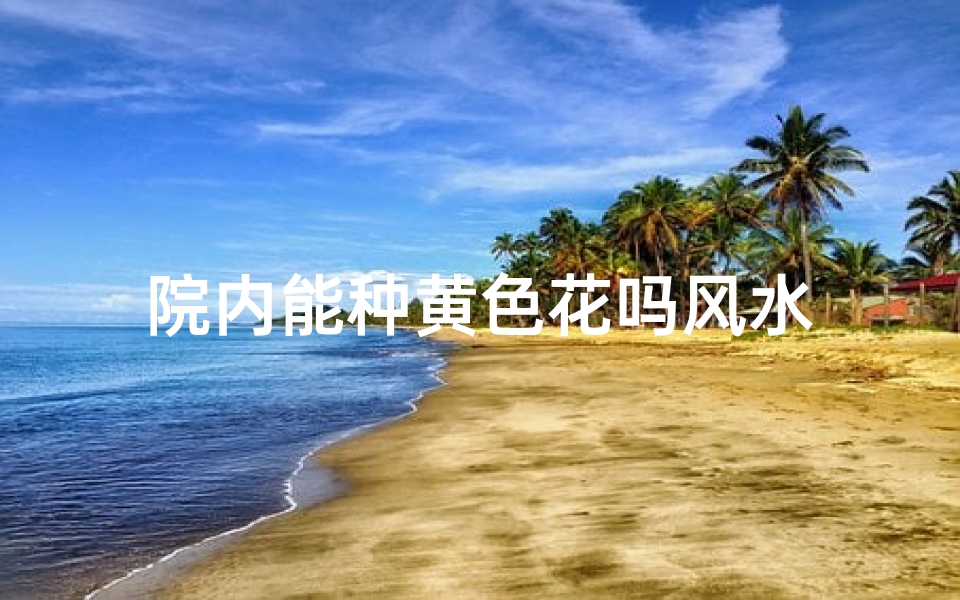院内能种黄色花吗风水