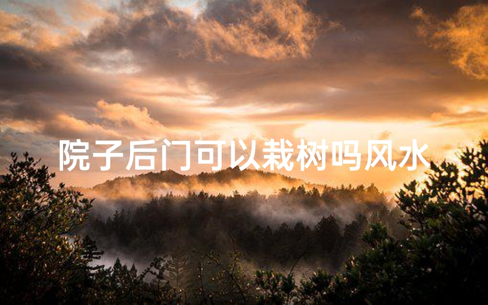 院子后门可以栽树吗风水;后院门口种什么树好
