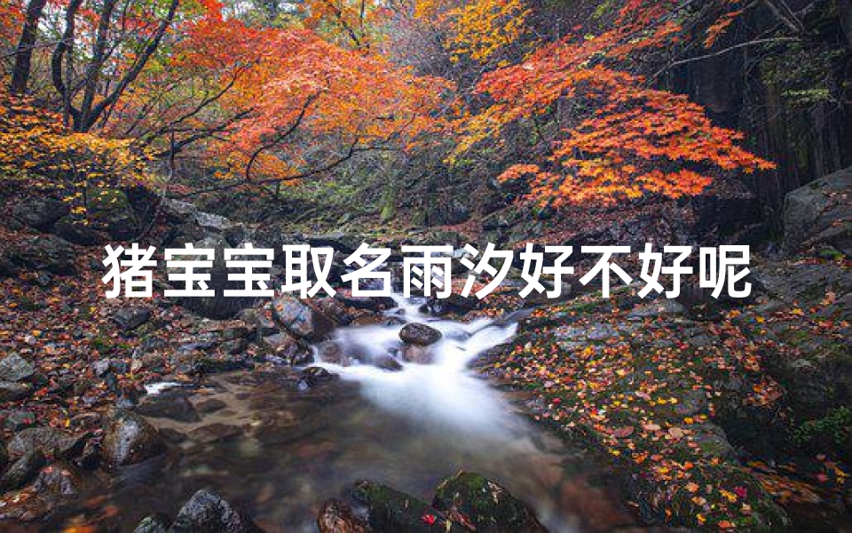 猪宝宝取名雨汐好不好呢女孩-猪宝宝取名雨汐,寓意美好,您觉得如何?