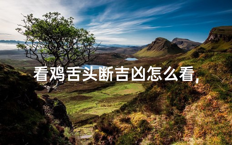 看鸡舌头断吉凶怎么看,《鸡舌头断吉凶:揭秘神秘占卜技巧》