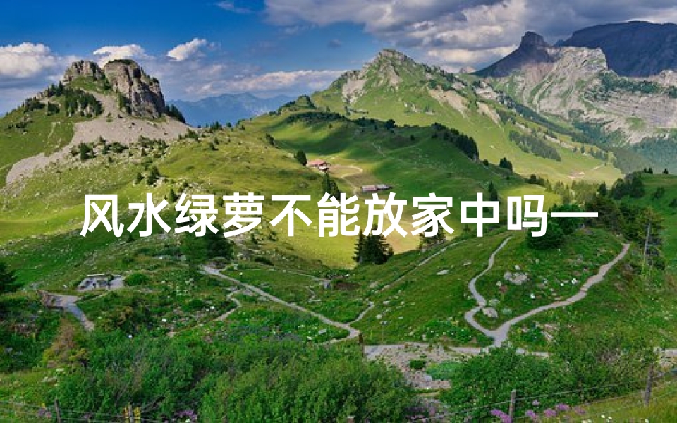 风水绿萝不能放家中吗—绿萝风水禁忌:家中摆放需谨慎