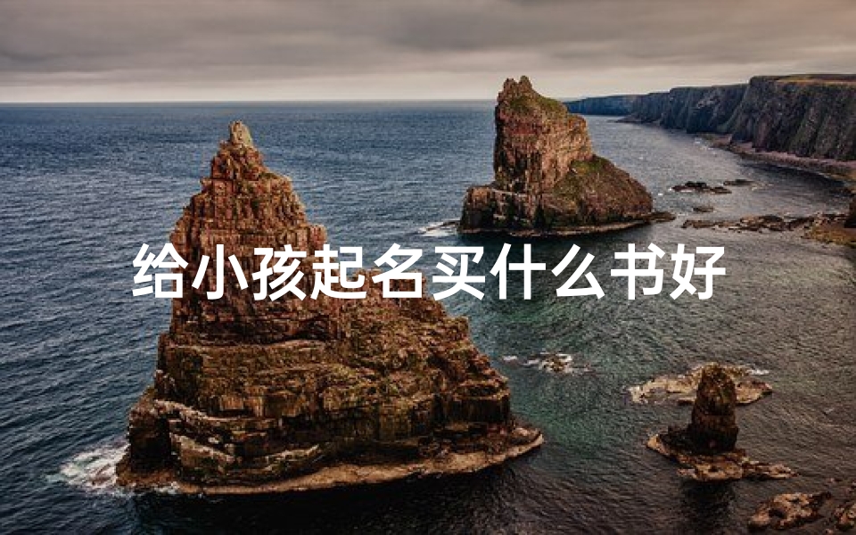 给小孩起名买什么书好