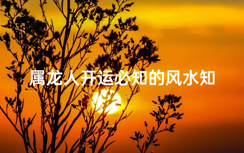 属龙人开运必知的风水知识(属龙的人用什么最旺)