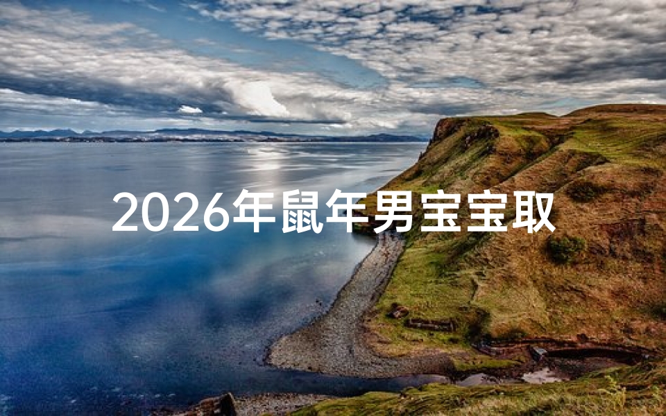 2026年鼠年男宝宝取名字大全指南
