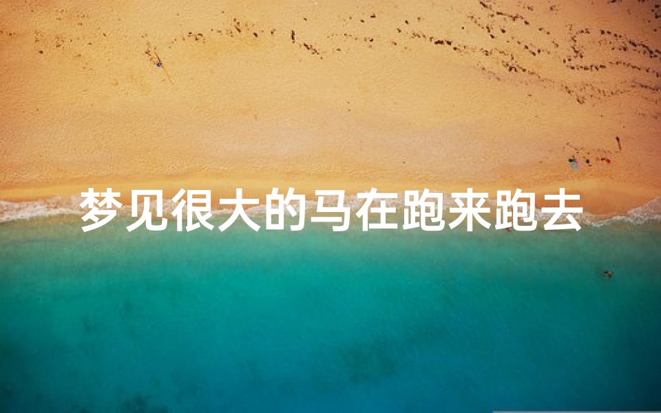 梦见很大的马在跑来跑去;梦见大马向自己走来