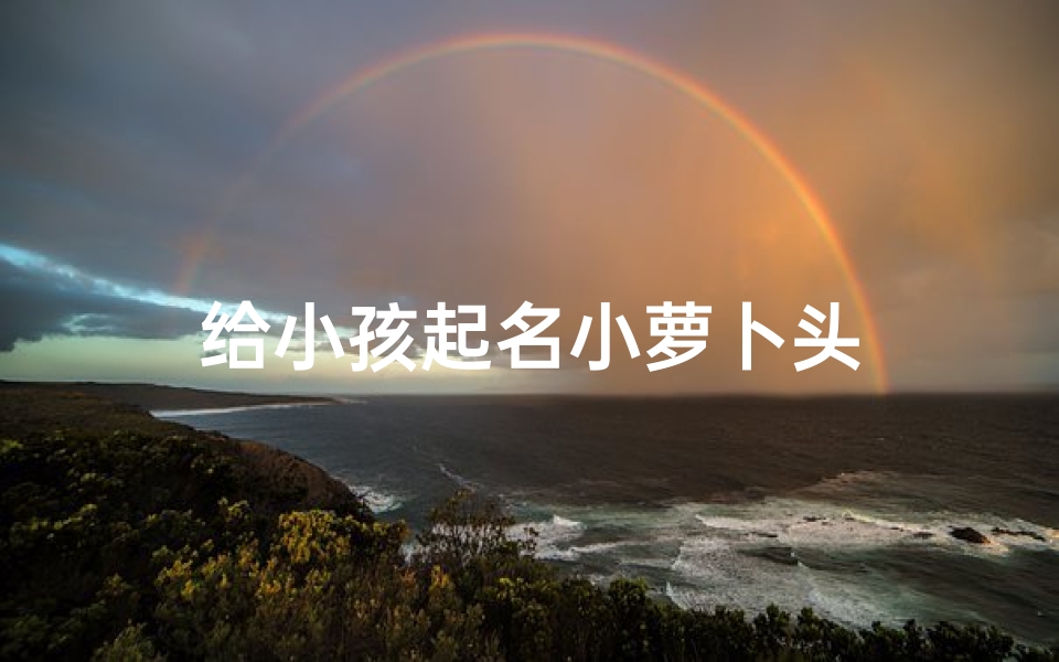 给小孩起名小萝卜头