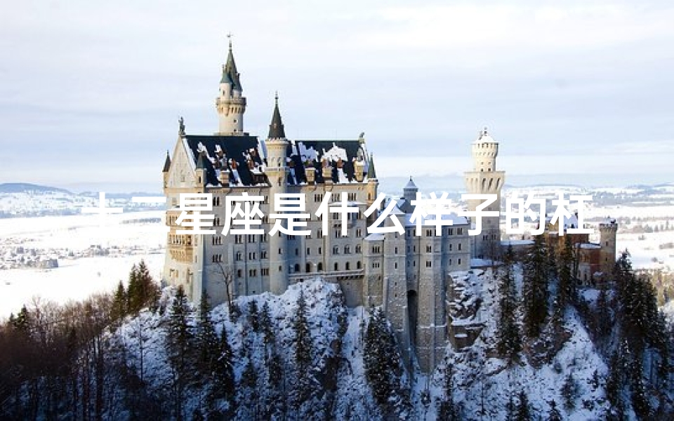 十二星座是什么样子的杠精(说点什么都要跟你抬杠的杠精星座 )