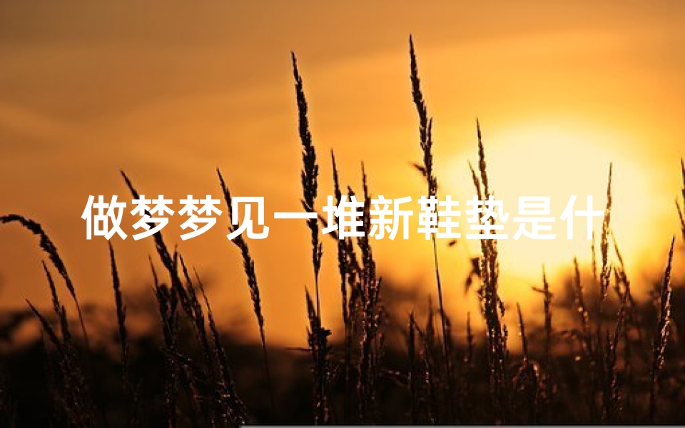 做梦梦见一堆新鞋垫是什么意思;梦见许多新鞋子是什么