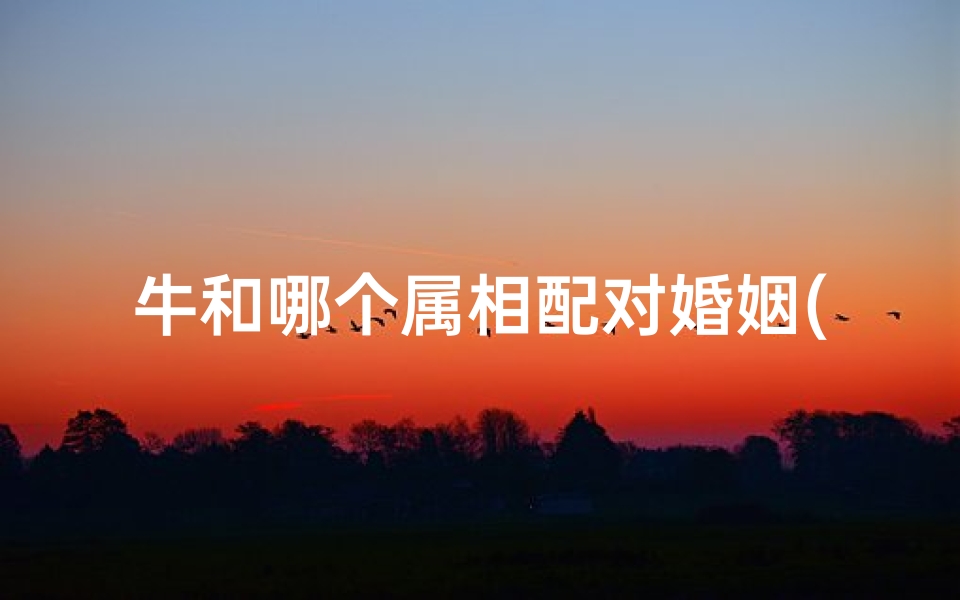 牛和哪个属相配对婚姻(属牛和什么属相相配婚姻如何)-东贵算卦网