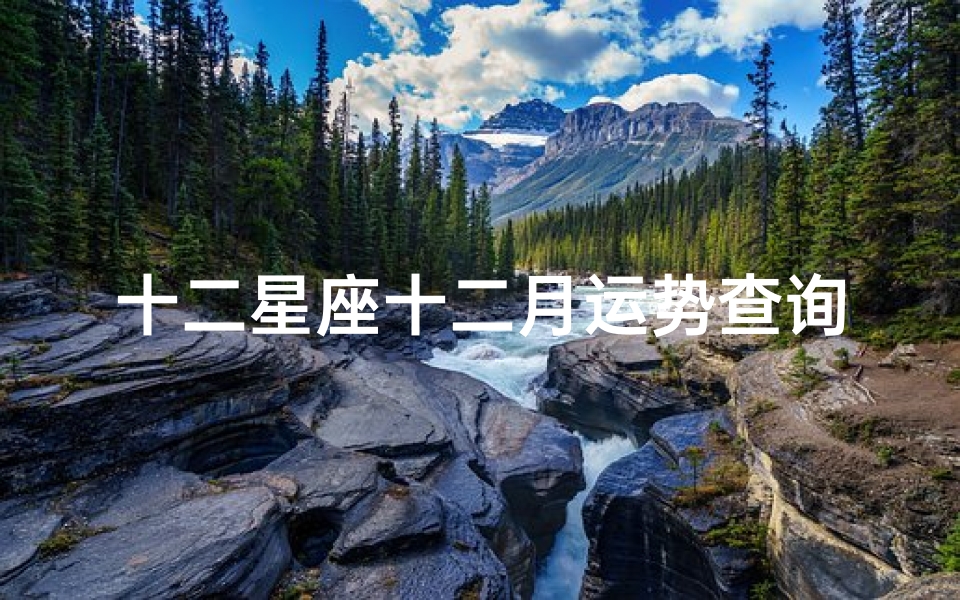 十二星座十二月运势查询(十二星座12月运势超准来袭,谁是年末赢家)