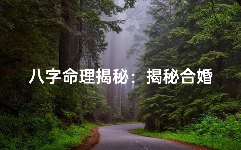 八字命理揭秘:揭秘合婚贵人的神奇力量