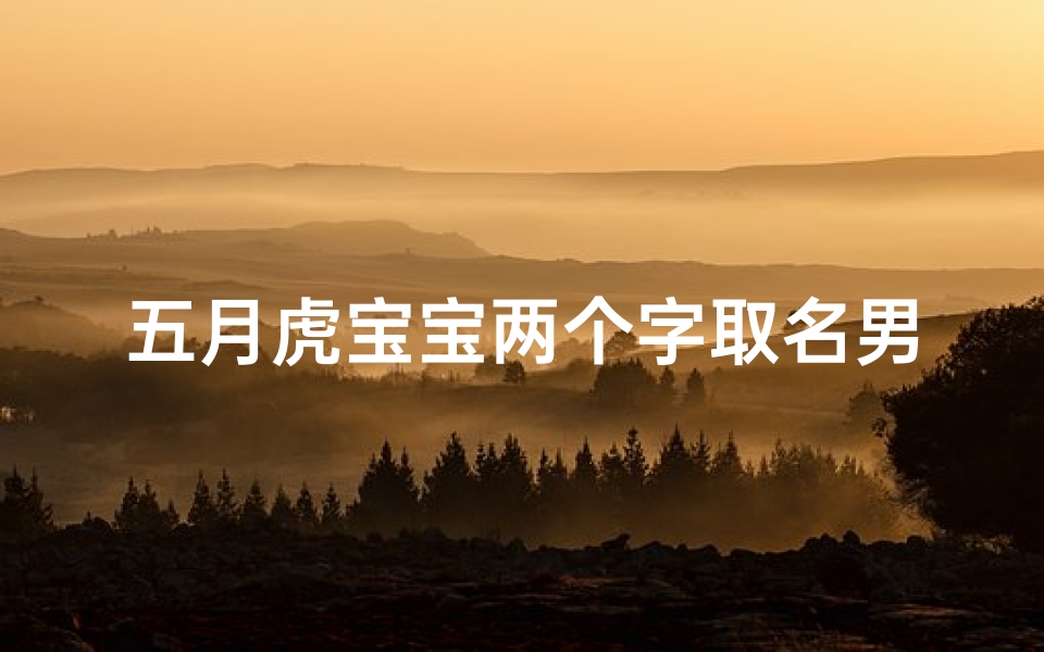 五月虎宝宝两个字取名男孩