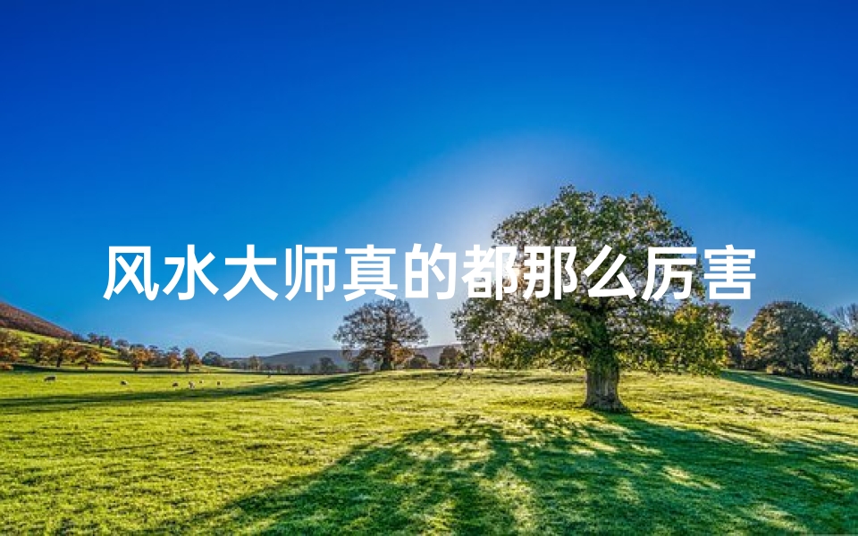 风水大师真的都那么厉害吗?