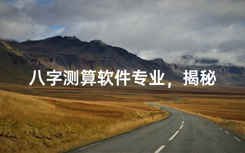 八字测算软件专业,揭秘命理玄机