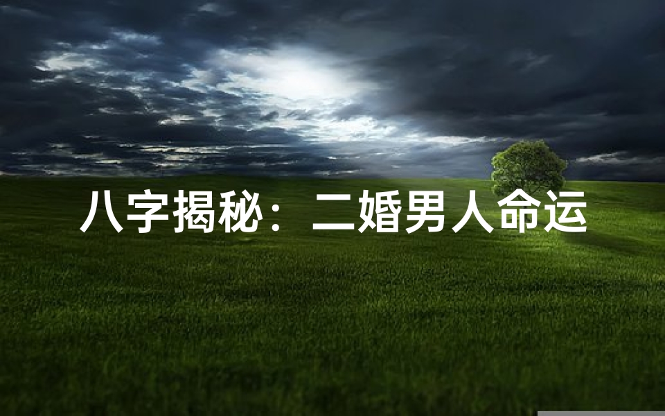 八字揭秘:二婚男人命运走势分析