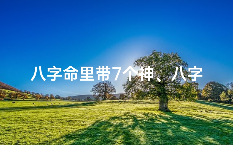 八字命里带7个神、八字里有几个神煞