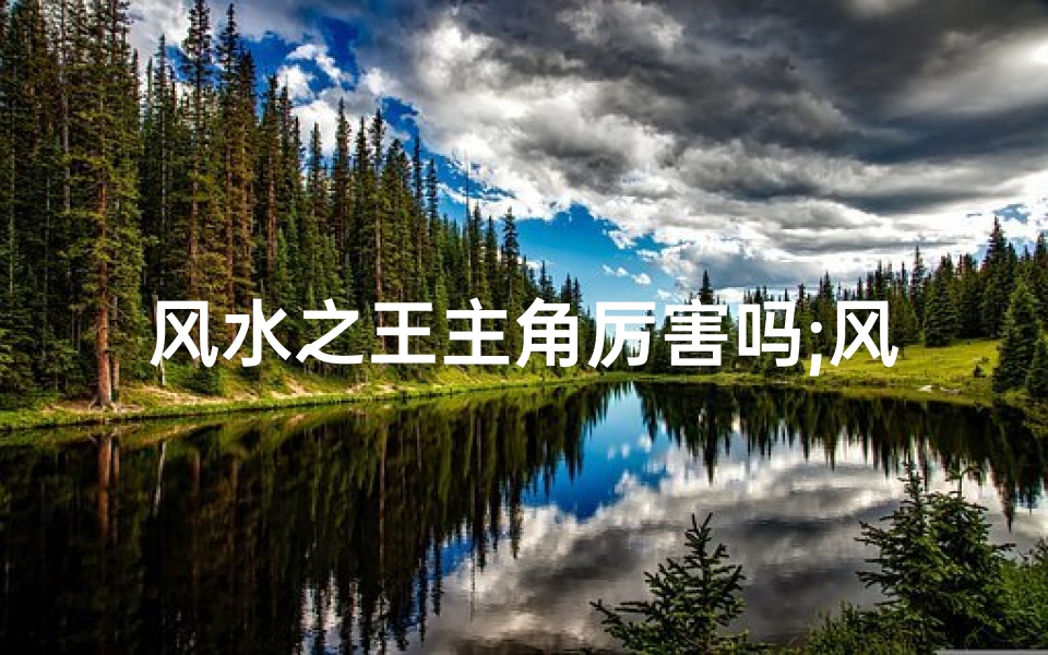 风水之王主角厉害吗;风水之王 小说