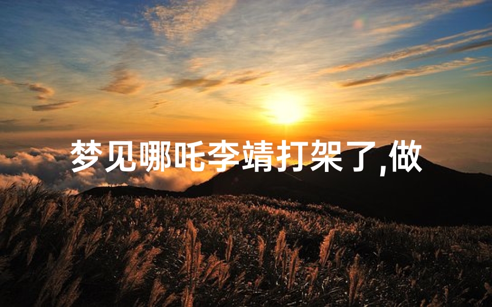 梦见哪吒李靖打架了,做梦梦见哪吒和人打架咋回事