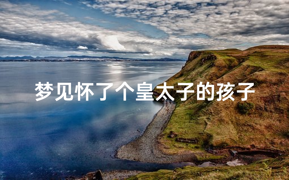 梦见怀了个皇太子的孩子(梦见自己是皇太子)