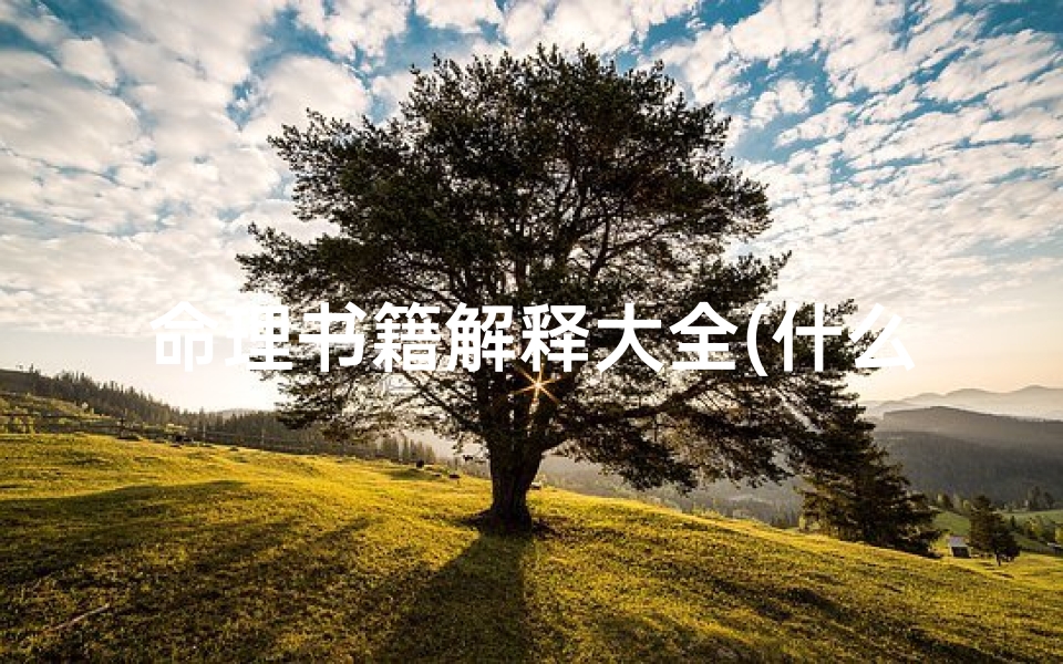命理书籍解释大全(什么命理书最好)