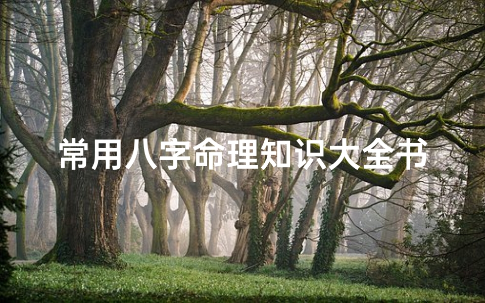 常用八字命理知识大全书籍(初学八字应该读什么书)