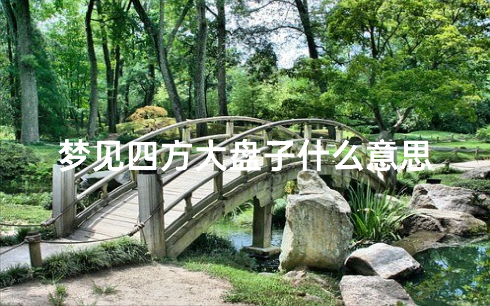 梦见四方大盘子什么意思,梦到大盘子