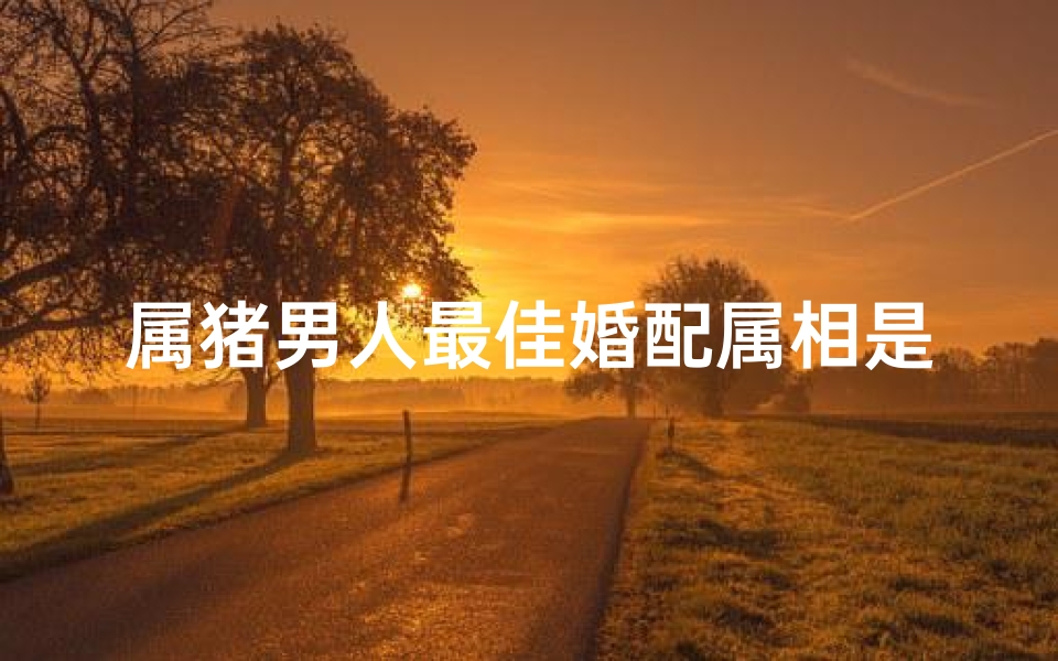 属猪男人最佳婚配属相是什么生肖(属猪男人最佳妻子是什么)