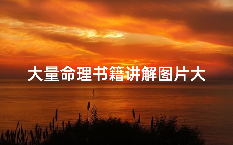 大量命理书籍讲解图片大全(算命书有哪些)