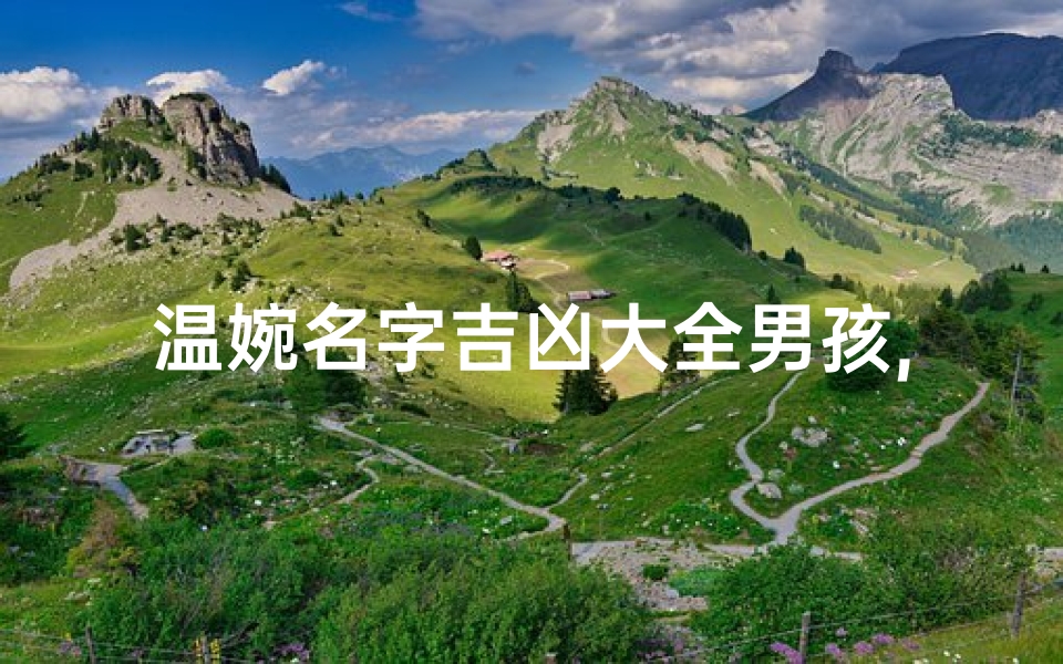 温婉名字吉凶大全男孩,《温婉吉凶揭秘:男孩名字大全深度解析》