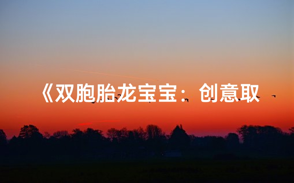 《双胞胎龙宝宝:创意取名,传承龙脉》