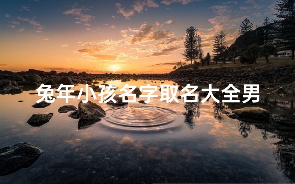 兔年小孩名字取名大全男孩