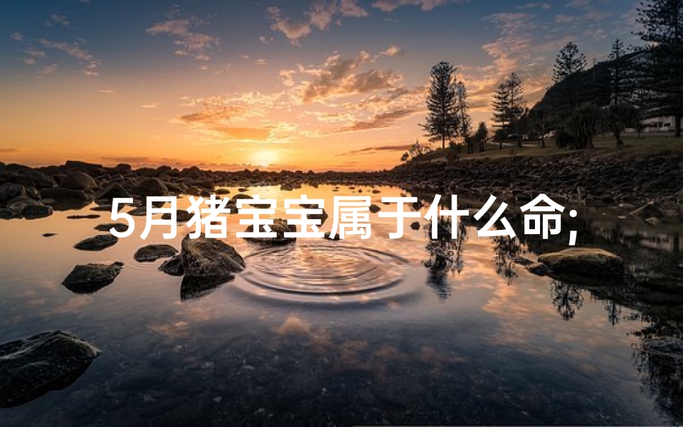 5月猪宝宝属于什么命;猪宝宝5月出生,男孩取名的独特好选择