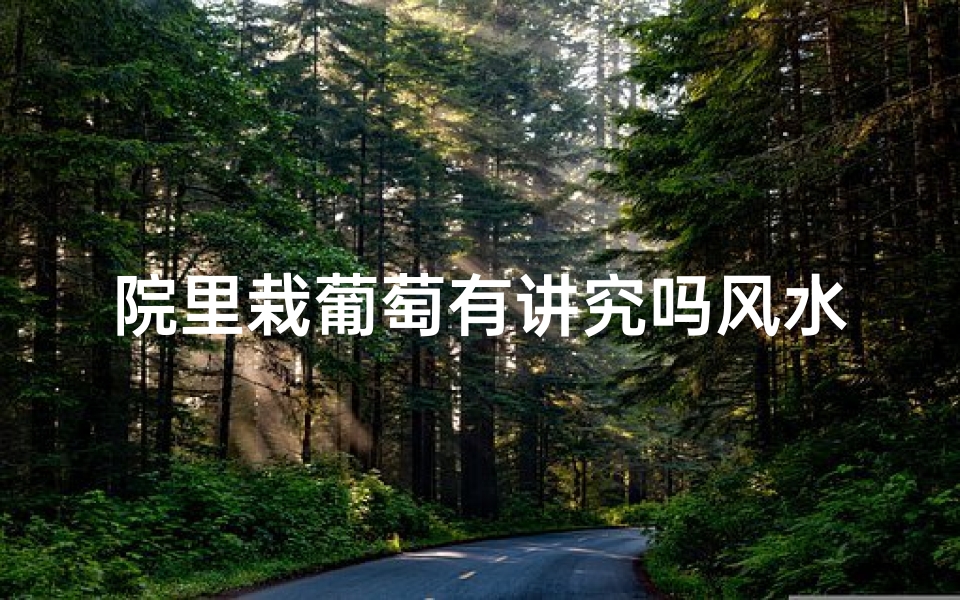 院里栽葡萄有讲究吗风水