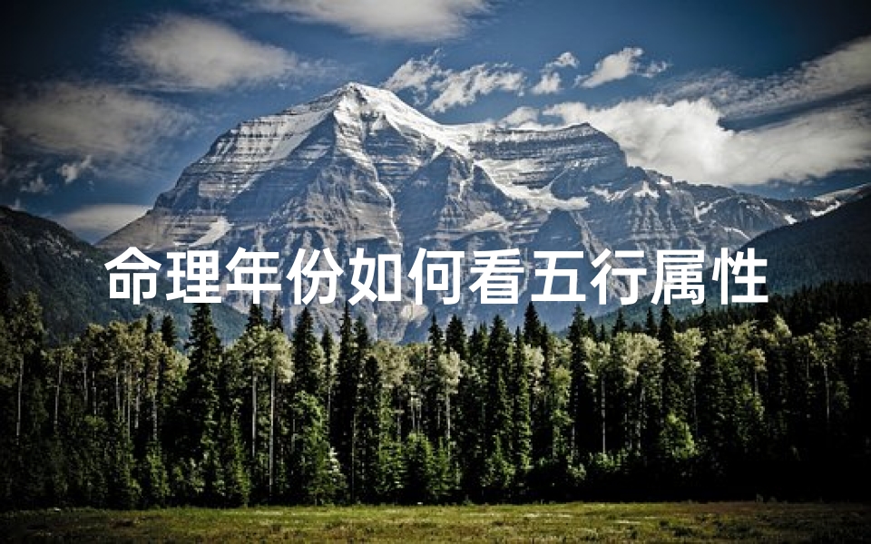 命理年份如何看五行属性(如何根据出生年份查询个人五行属性 )